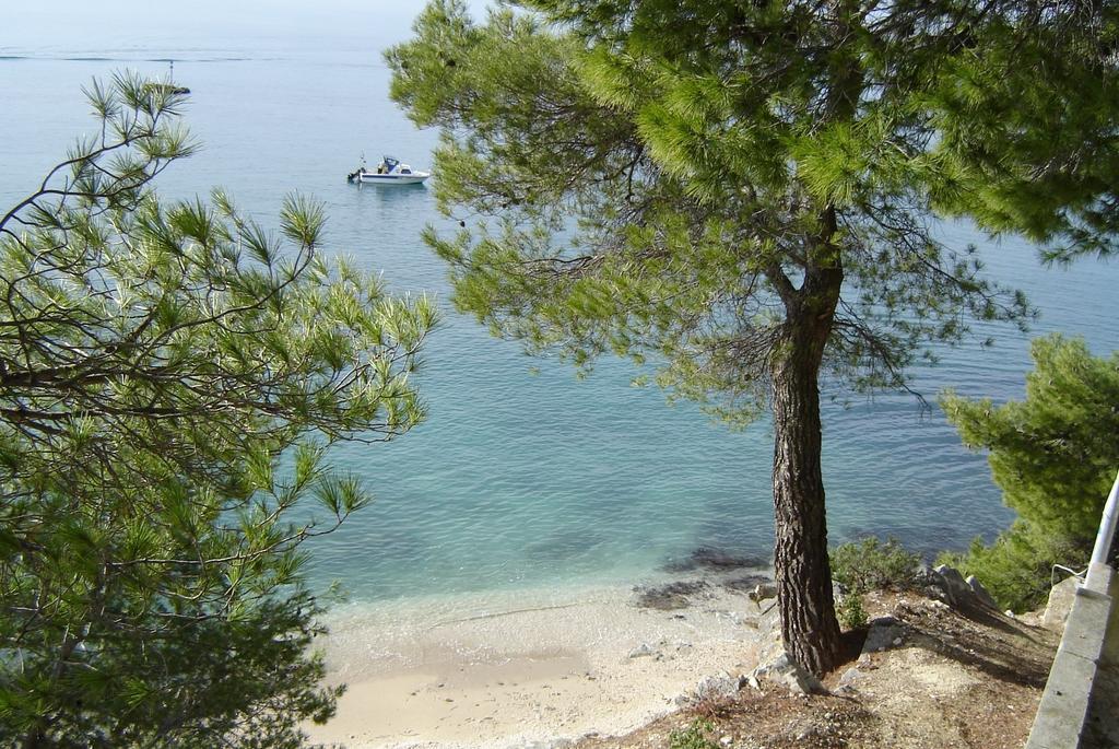 Apartments Lavica Ποντστράνα Εξωτερικό φωτογραφία