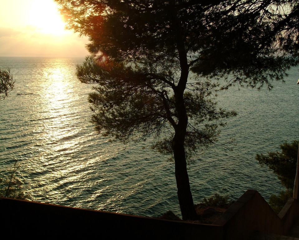 Apartments Lavica Ποντστράνα Εξωτερικό φωτογραφία